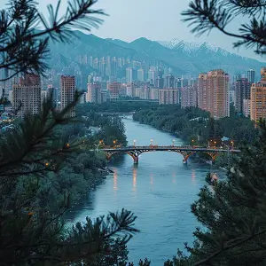 聊城大学陈书桓简介