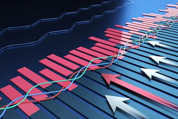 羽馨大学老师简介